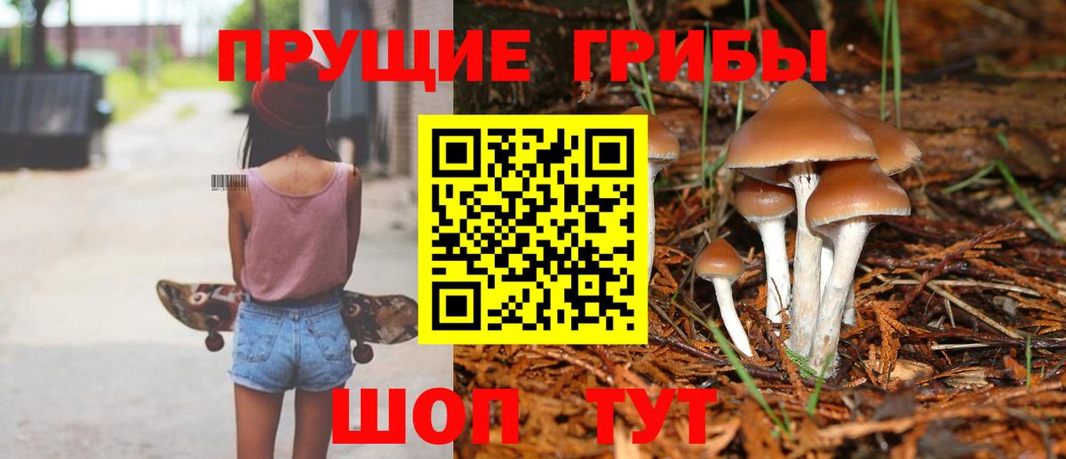 Галлюциногенные грибы Psilocybe  цена наркотик  Ангарск  Вход с VPN  Псилоцибиновые грибы GOLDEN TEACHER 